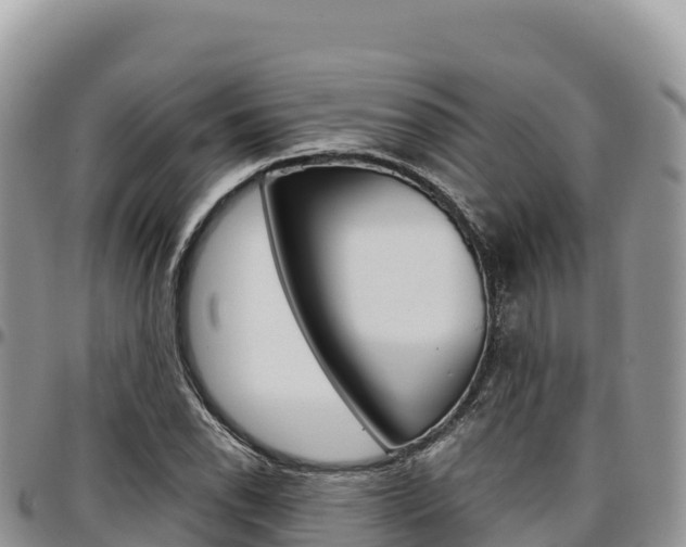 X0000097301118200802151116