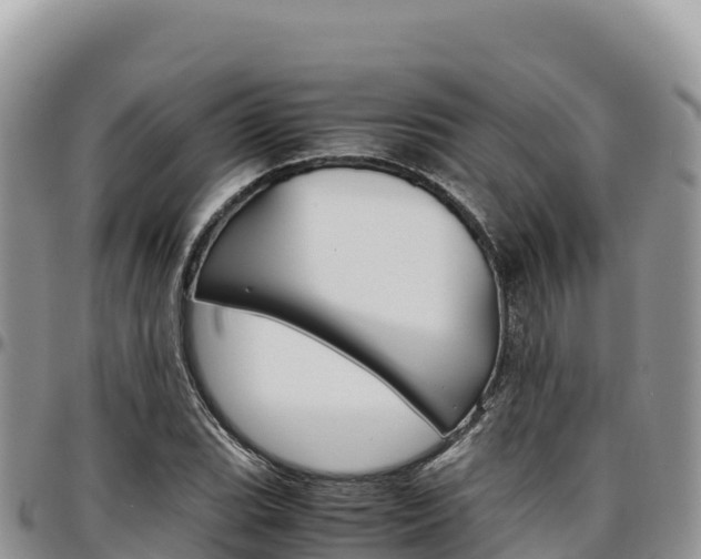 X0000097301119200802151116