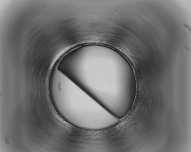 X0000097301120200802151116