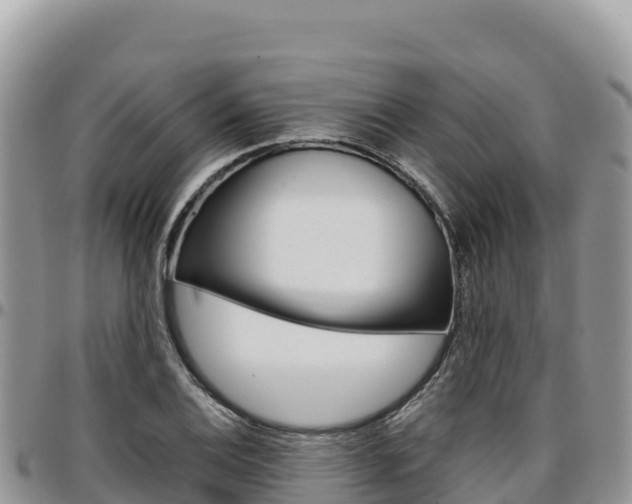 X0000097301124200802151116