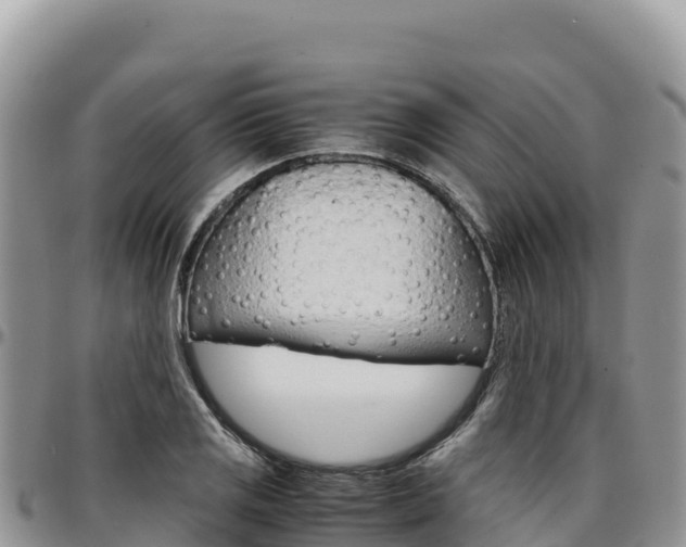 X0000097301125200802151116