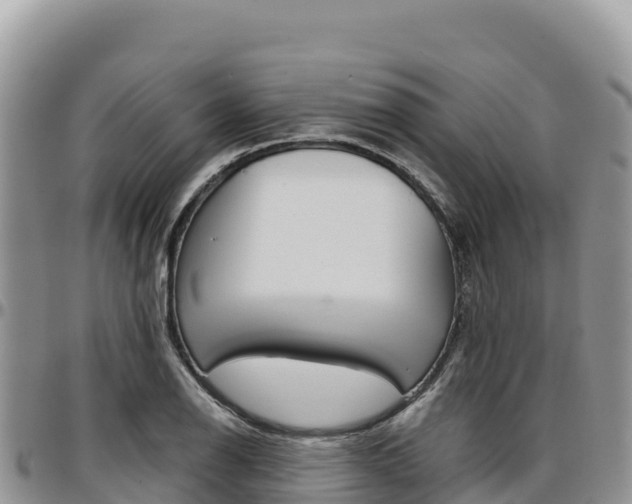 X0000097301126200802151116