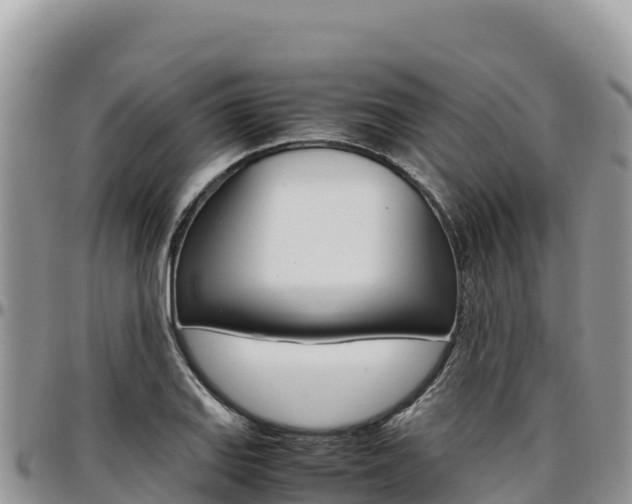 X0000097301127200802151116