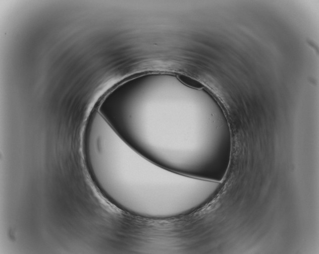 X0000097301128200802151116