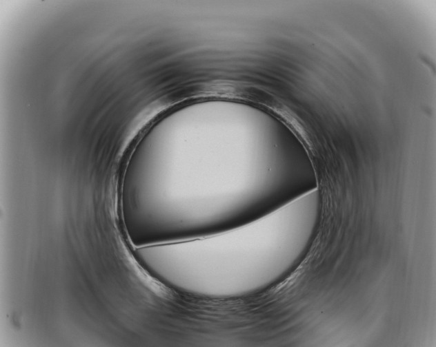 X0000097301131200802151116