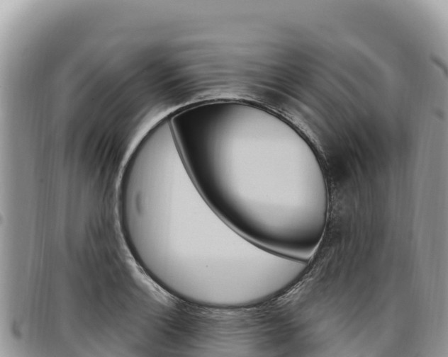 X0000097301132200802151116