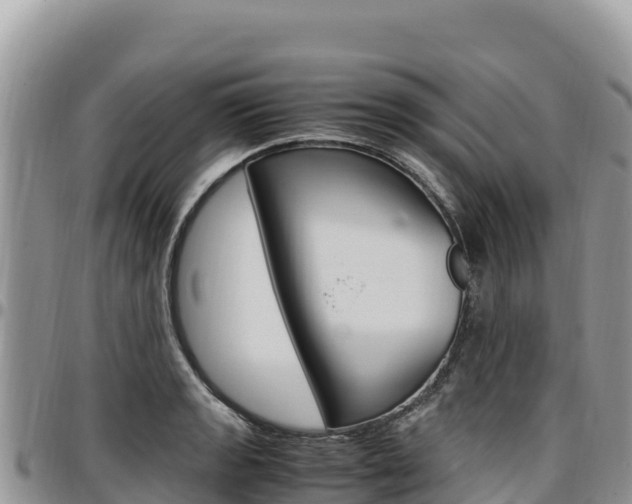 X0000097301133200802151116