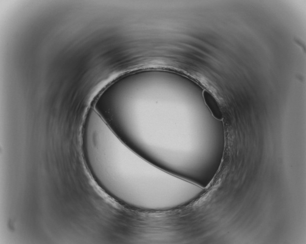 X0000097301134200802151116
