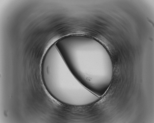 X0000097301135200802151116