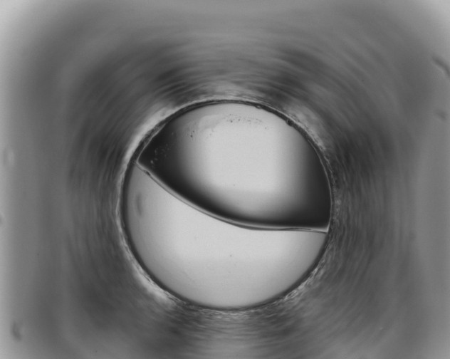 X0000097301136200802151116