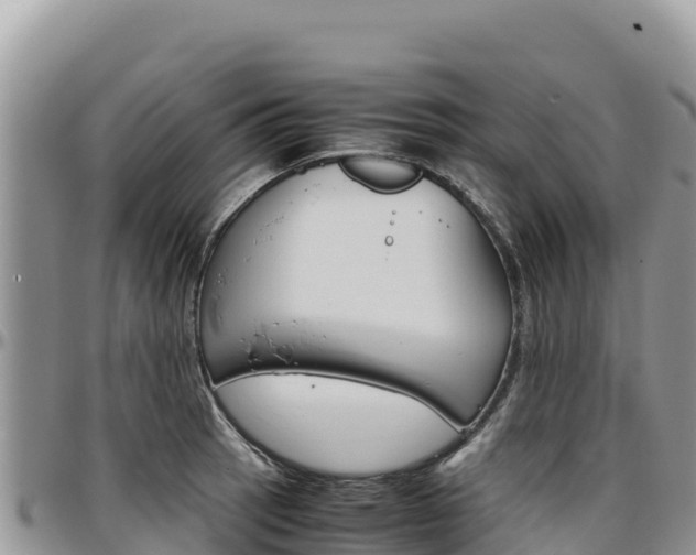 X0000097301137200802151116