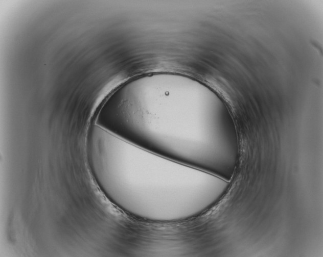 X0000097301138200802151116