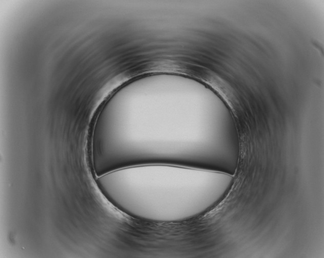 X0000097301139200802151116