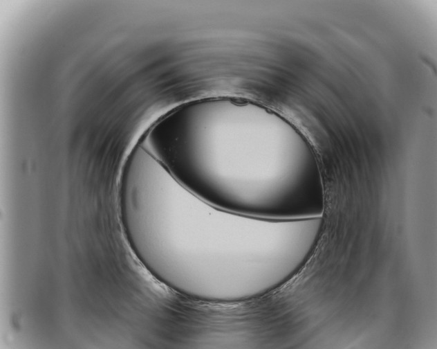 X0000097301140200802151116
