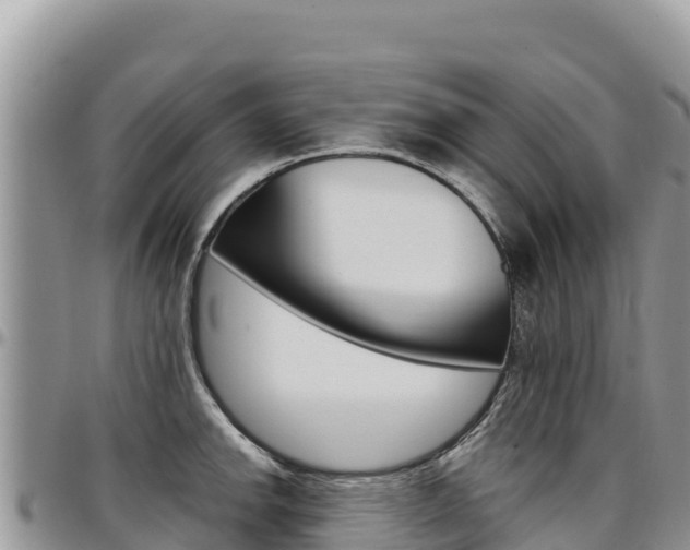 X0000097301142200802151116