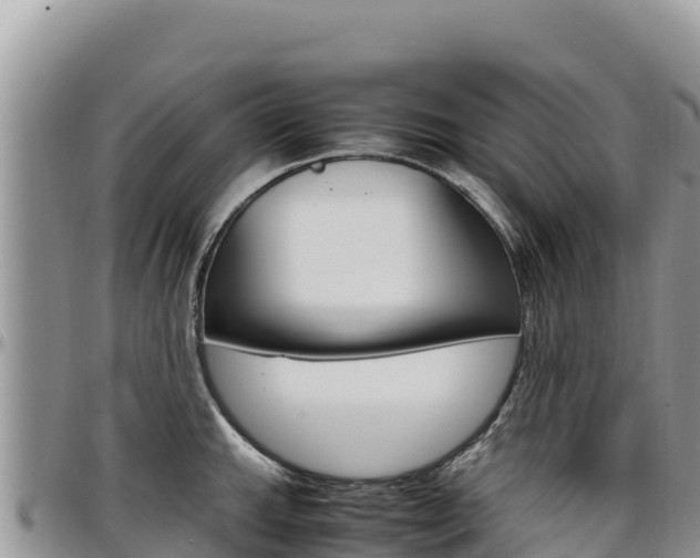 X0000097301143200802151116