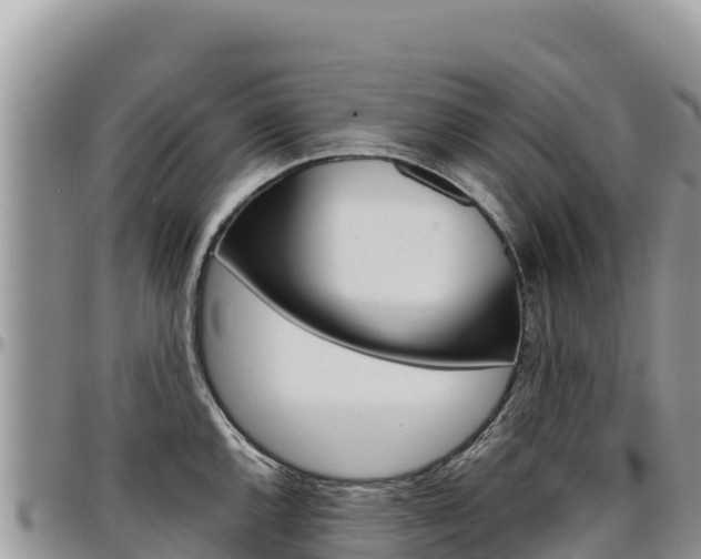 X0000097301144200802151116