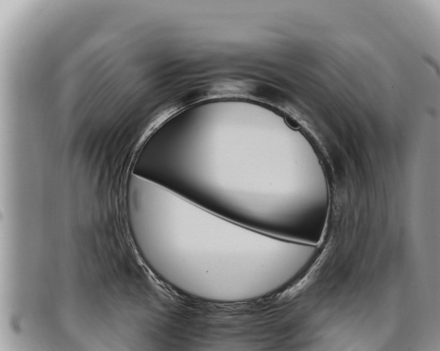 X0000097301145200802151116