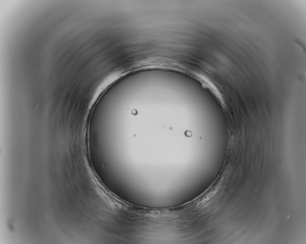 X0000097301146200802151116