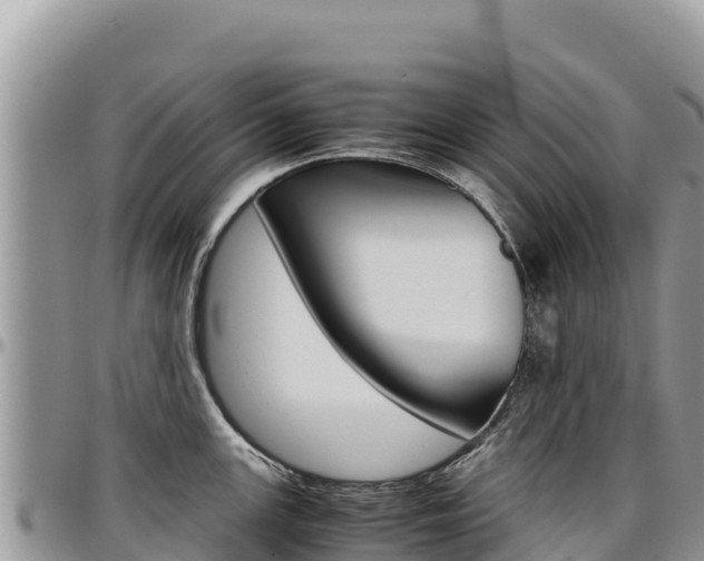 X0000097301147200802151116