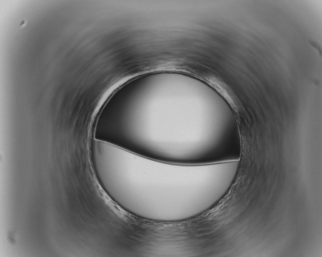 X0000097301148200802151116