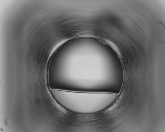 X0000097301149200802151116