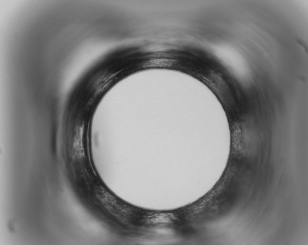 X0000097301150200802151116