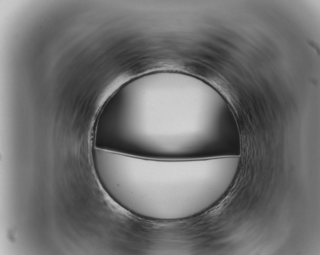 X0000097301151200802151116