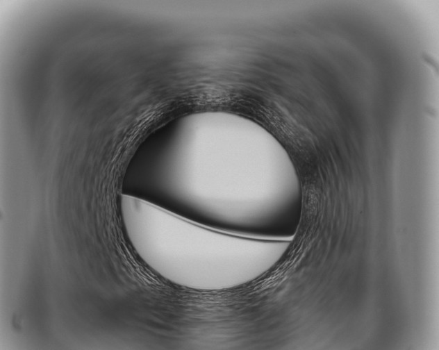 X0000097301153200802151115