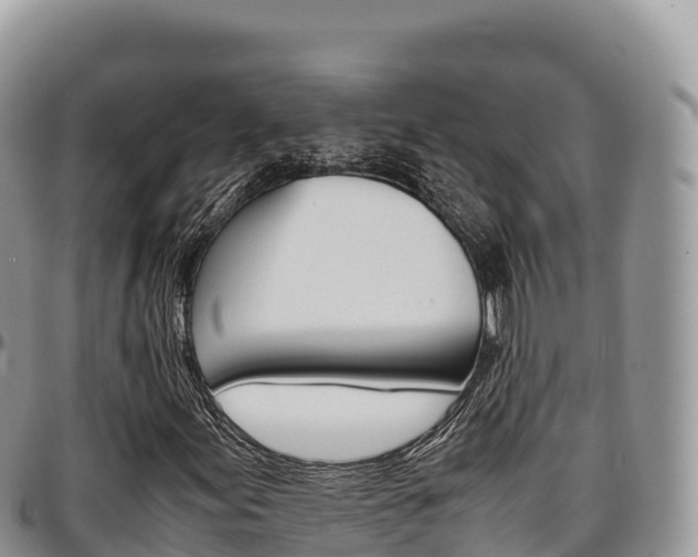 X0000097301155200802151115