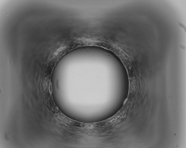 X0000097301157200802151115
