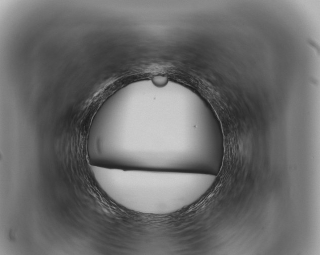 X0000097301158200802151115