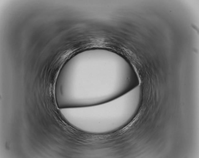 X0000097301161200802151115