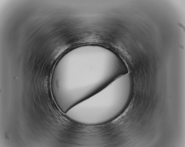 X0000097301162200802151115