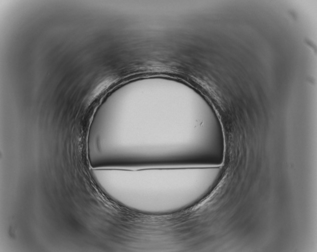 X0000097301163200802151115