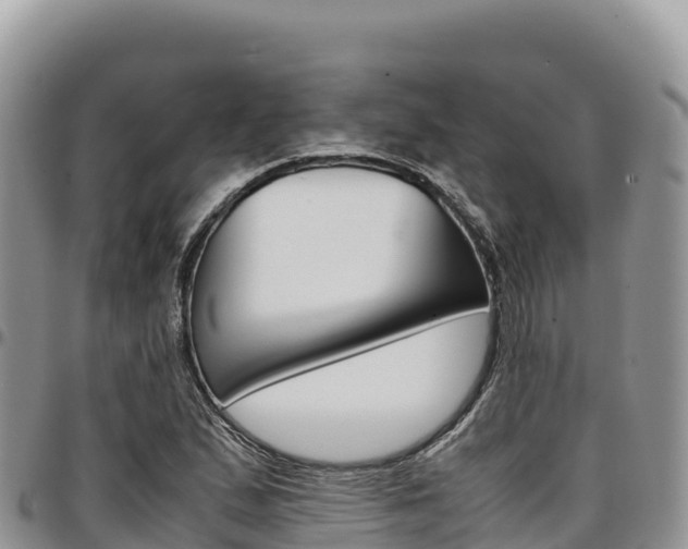 X0000097301167200802151115