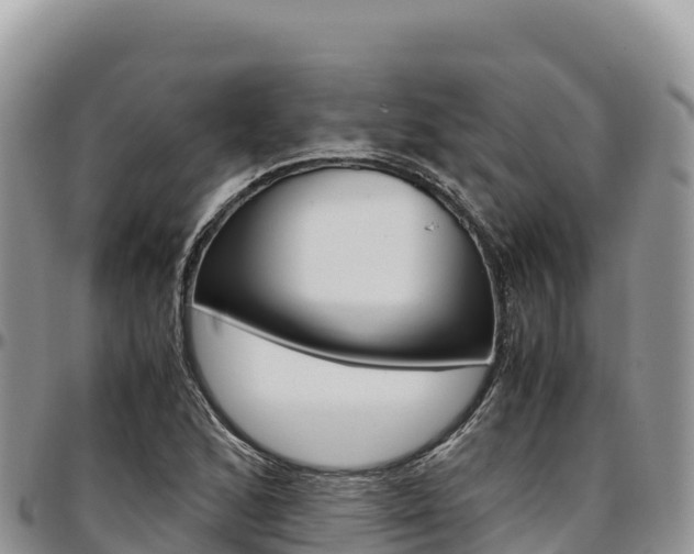 X0000097301168200802151115