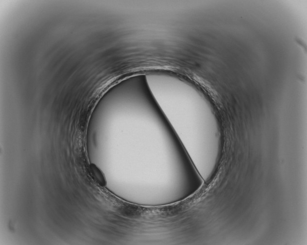 X0000097301169200802151115