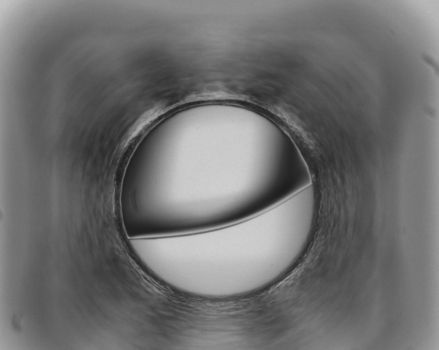 X0000097301173200802151115