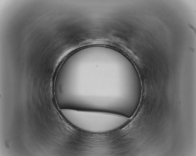 X0000097301174200802151115
