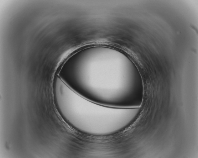 X0000097301176200802151115