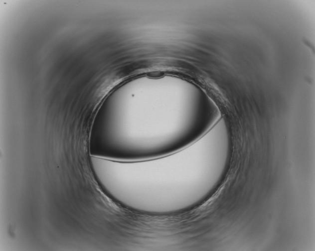 X0000097301177200802151115
