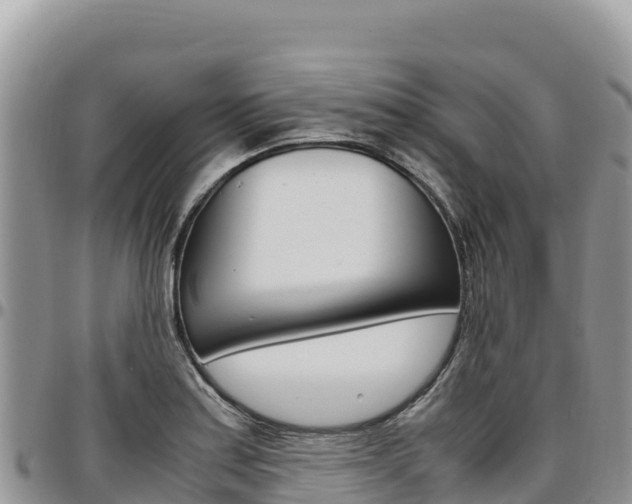 X0000097301179200802151115