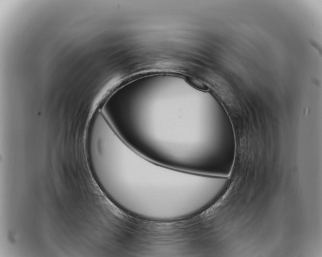 X0000097301180200802151115