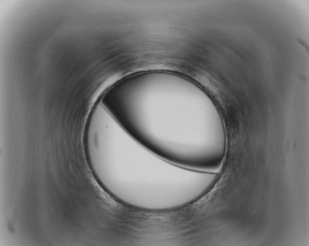 X0000097301181200802151115