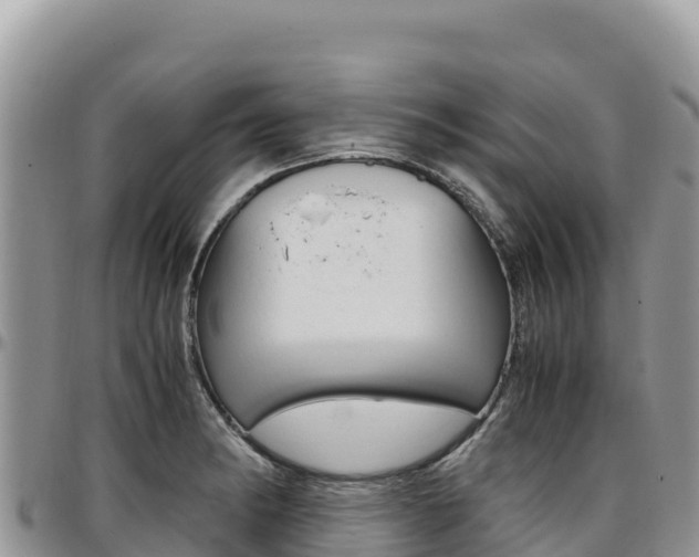 X0000097301182200802151115