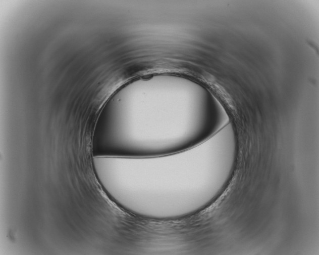 X0000097301185200802151115