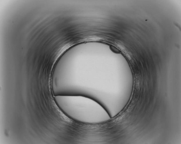 X0000097301186200802151115