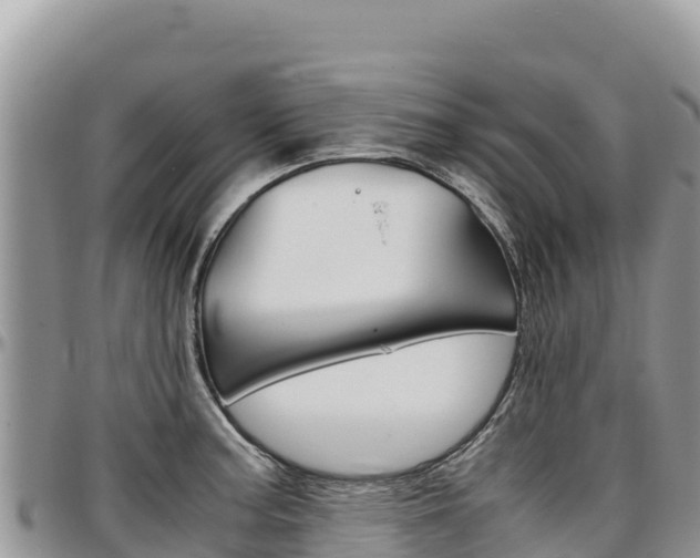X0000097301187200802151115