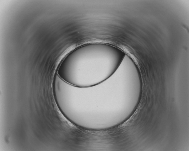 X0000097301189200802151115